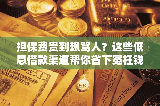 济南担保费贵到想骂人？这些低息借款渠道帮你省下冤枉钱
